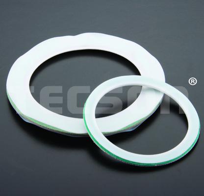 PTFE Envelope Gaskets